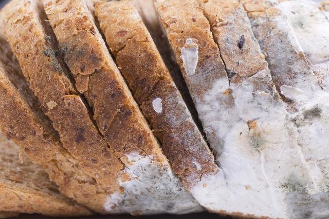 如何確保選購進口食品添加劑不超標這17批不合格進口食品嚴禁入境