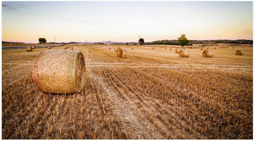 秸稈類生物質(zhì)資源化技術(shù)研究前沿和發(fā)展趨勢(shì)（三）