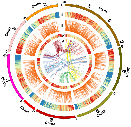 基因組測(cè)序證實(shí)長江流域?yàn)橹袊钤捡Z化中心