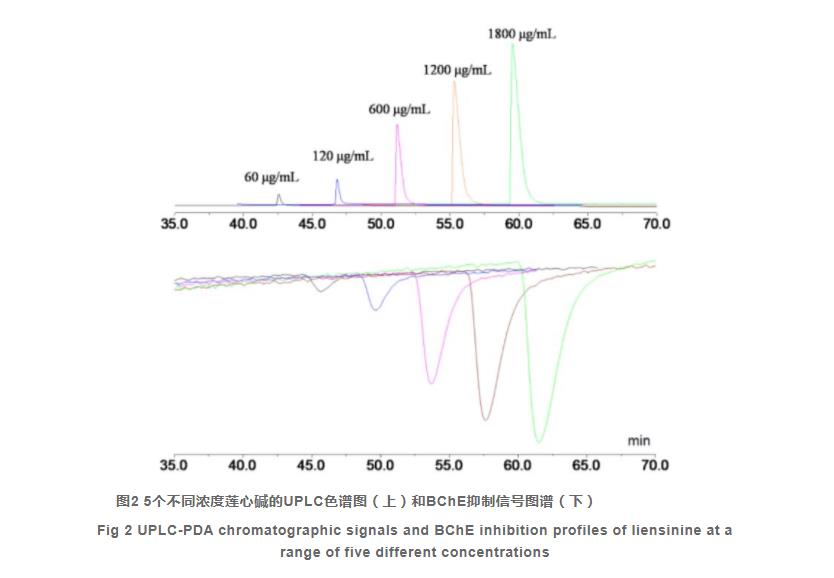 運(yùn)用超高效液相色譜-生物化學(xué)檢測(cè)在線聯(lián)用分析方法篩選中藥中的丁酰膽堿酯酶抑制劑（二）