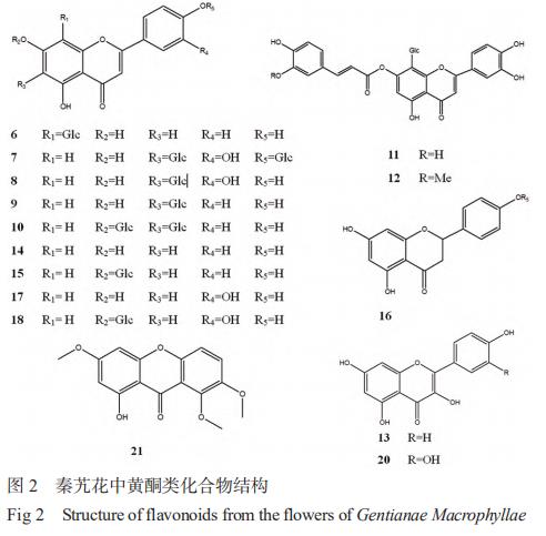 秦艽花化學(xué)成分、藥理作用及其臨床應(yīng)用的研究進展 （一）
