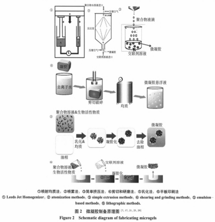 食品微凝膠的制備、表征與應用（一）