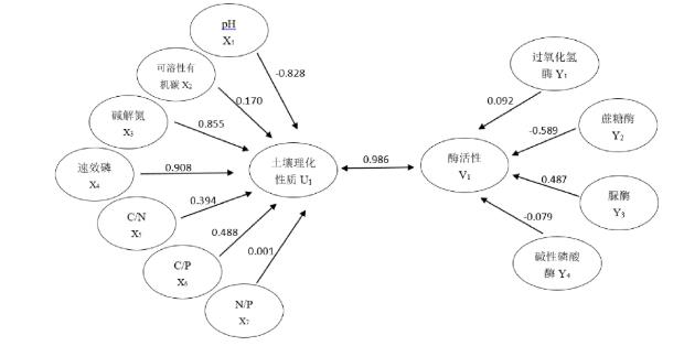 蘭州百合連作土壤碳氮磷化學計量特征及酶活性研究（二）