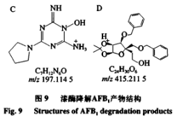 重組漆酶降解黃曲霉毒素B1分子對接分析及產(chǎn)物結(jié)構(gòu)解析（四）