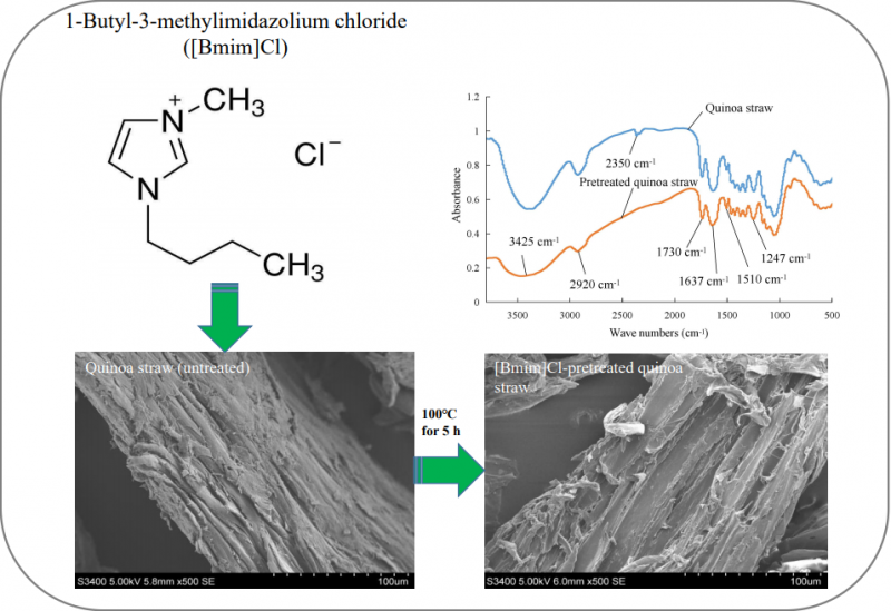 西北農(nóng)林科技大學食品學院杜雙奎教授團隊在藜麥功能性評價及副產(chǎn)物開發(fā)利用方面取得研究進展