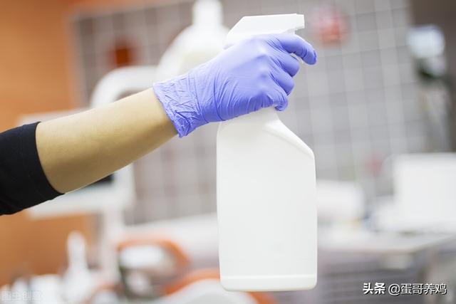 雞場消毒3大法寶，養(yǎng)雞高手這樣用，幾塊錢解決致病菌，省錢好用