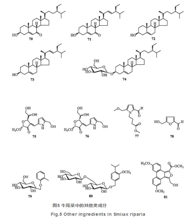 牛尾菜化學(xué)成分與藥理作用研究進(jìn)展（一）
