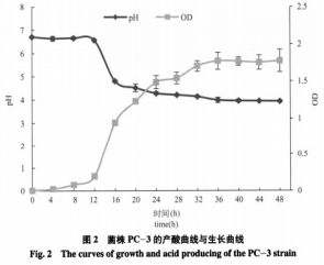 一株安徽本地泡菜中產(chǎn)細菌素乳酸菌的篩選與鑒定（二）