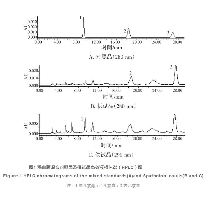 不同樹脂環(huán)紋數(shù)雞血藤藥材質(zhì)量的分析和評價(jià)（一）