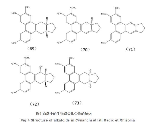 白薇化學成分及藥理作用研究進展（二）