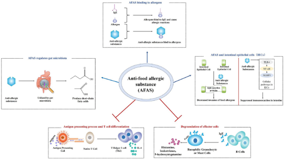西北大學(xué)田陽(yáng)博士在食品領(lǐng)域頂級(jí)期刊《Critical Reviews in Food Science and Nutrition》發(fā)表抗食物過敏綜述論文