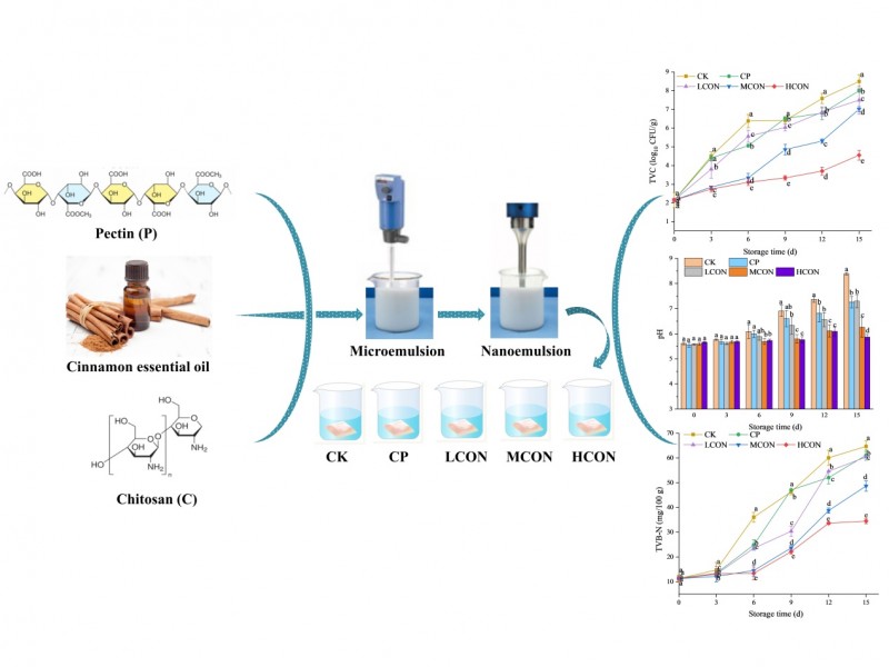河南省冷鏈?zhǔn)称焚|(zhì)量安全控制重點(diǎn)實(shí)驗(yàn)室白艷紅教授課題組在LWT-Food Science and Technology發(fā)表研究成果