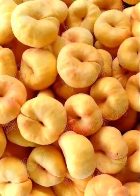 王力榮：我國桃產(chǎn)業(yè)現(xiàn)狀與發(fā)展建議