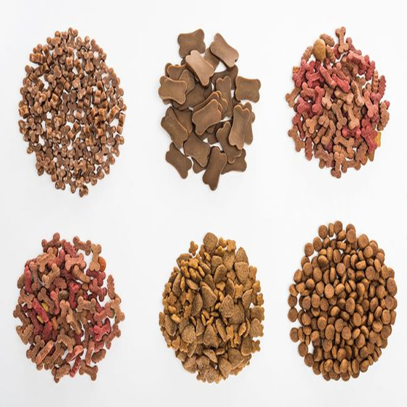 魚肉蛋白酶解制備寵物糧食