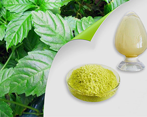 研發(fā)出新的安全性比較高實(shí)用性強(qiáng)的阻燃劑