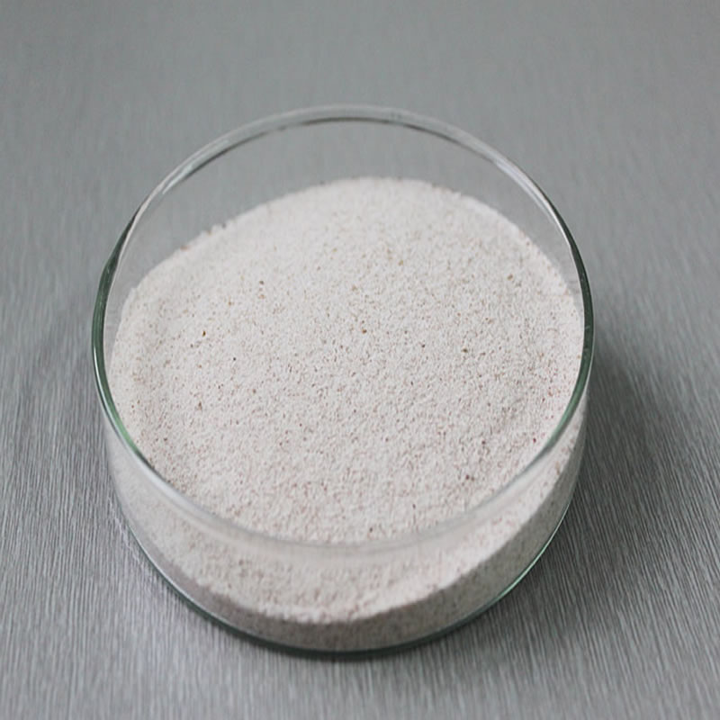 如何水解小麥蛋白？