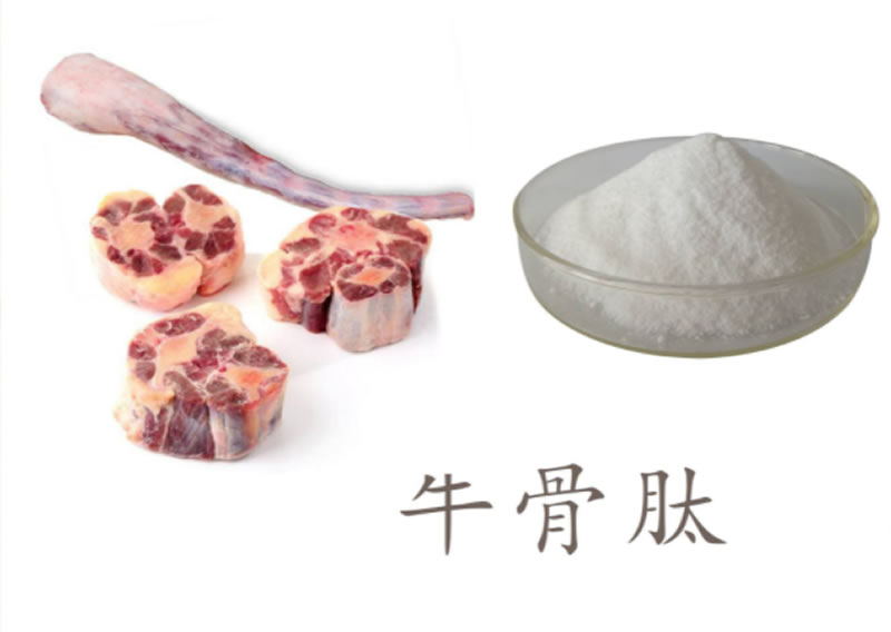 牛骨酶解用什么酶？
