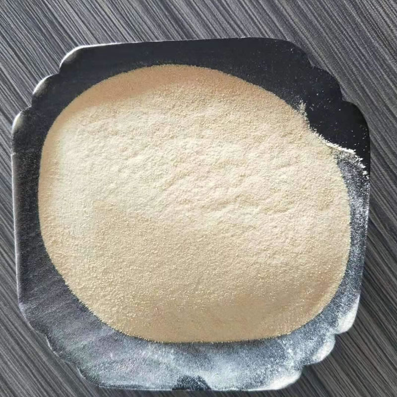 為什么大米蛋白酶解制備大米肽口感是苦的？