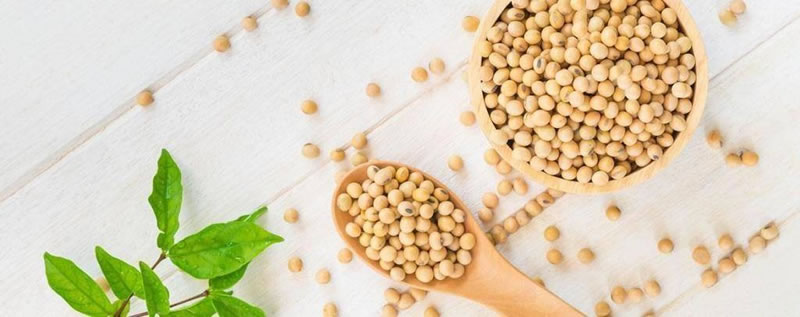 為什么酶解大豆蛋白制備大豆肽口感是苦的？如何解決？