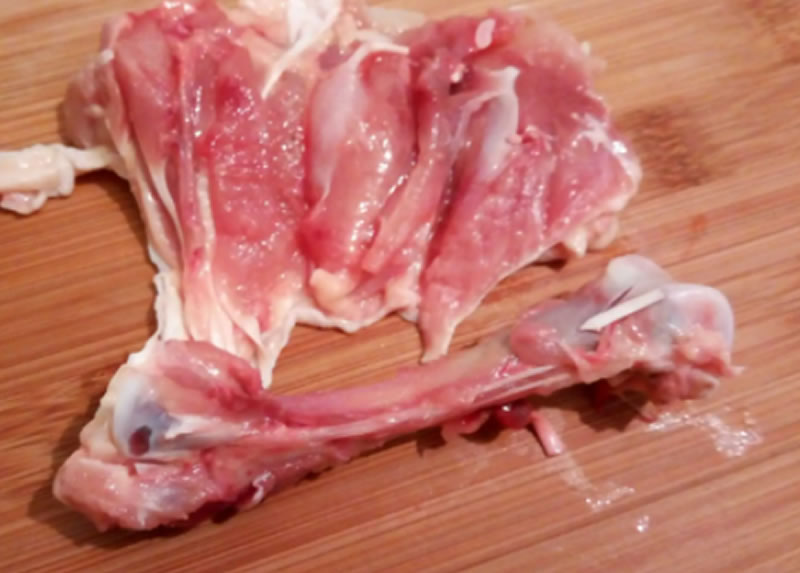 酶解雞腿骨制備硫酸軟骨素用什么酶？