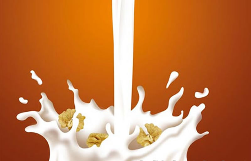 植物蛋白飲料蛋白質(zhì)改性方法有哪些？