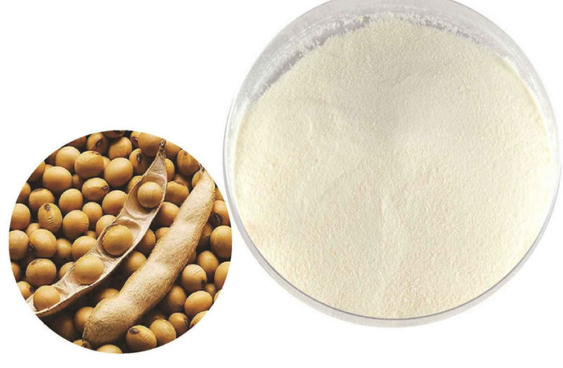 酶解大豆蛋白制備大豆蛋白肽，如何選擇酶制劑？