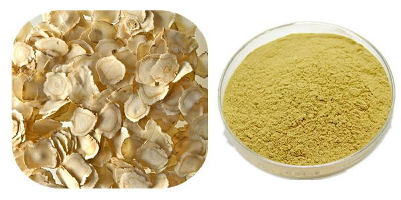 怎樣利用酶解法提取中藥有效成分？