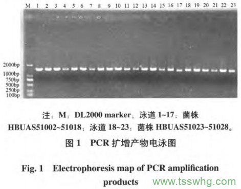 《無醇啤酒》、《酸啤酒》團(tuán)體標(biāo)準(zhǔn)正式發(fā)布，11月30日起實(shí)施