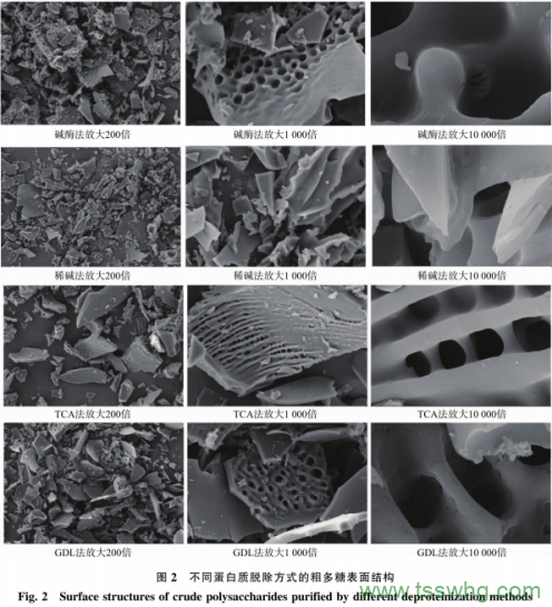 干貝多糖的蛋白質(zhì)脫除方式對抗氧化活性的影響（三）