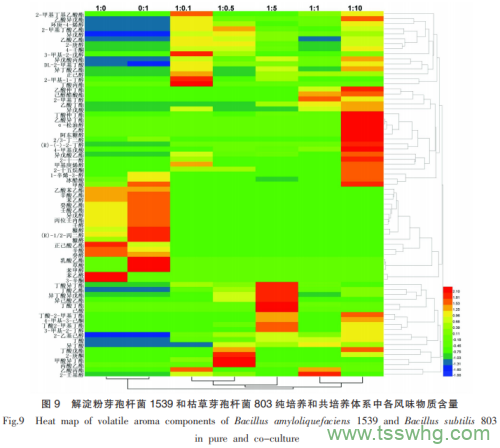 山西老陳醋優(yōu)良芽孢菌與醋酸菌、乳酸菌的相互作用（四）