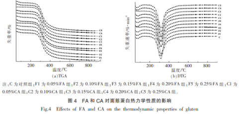 麥麩酚酸類物質(zhì)對面團(tuán)聚集態(tài)的影響（三）